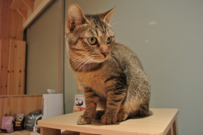 DSC_7398.JPG