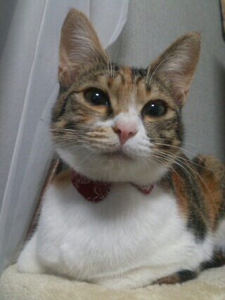 PE_20130203114830.jpg
