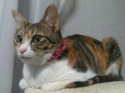 PE_20130203114857.jpg