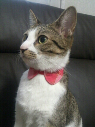 PE_20130203114920.jpg