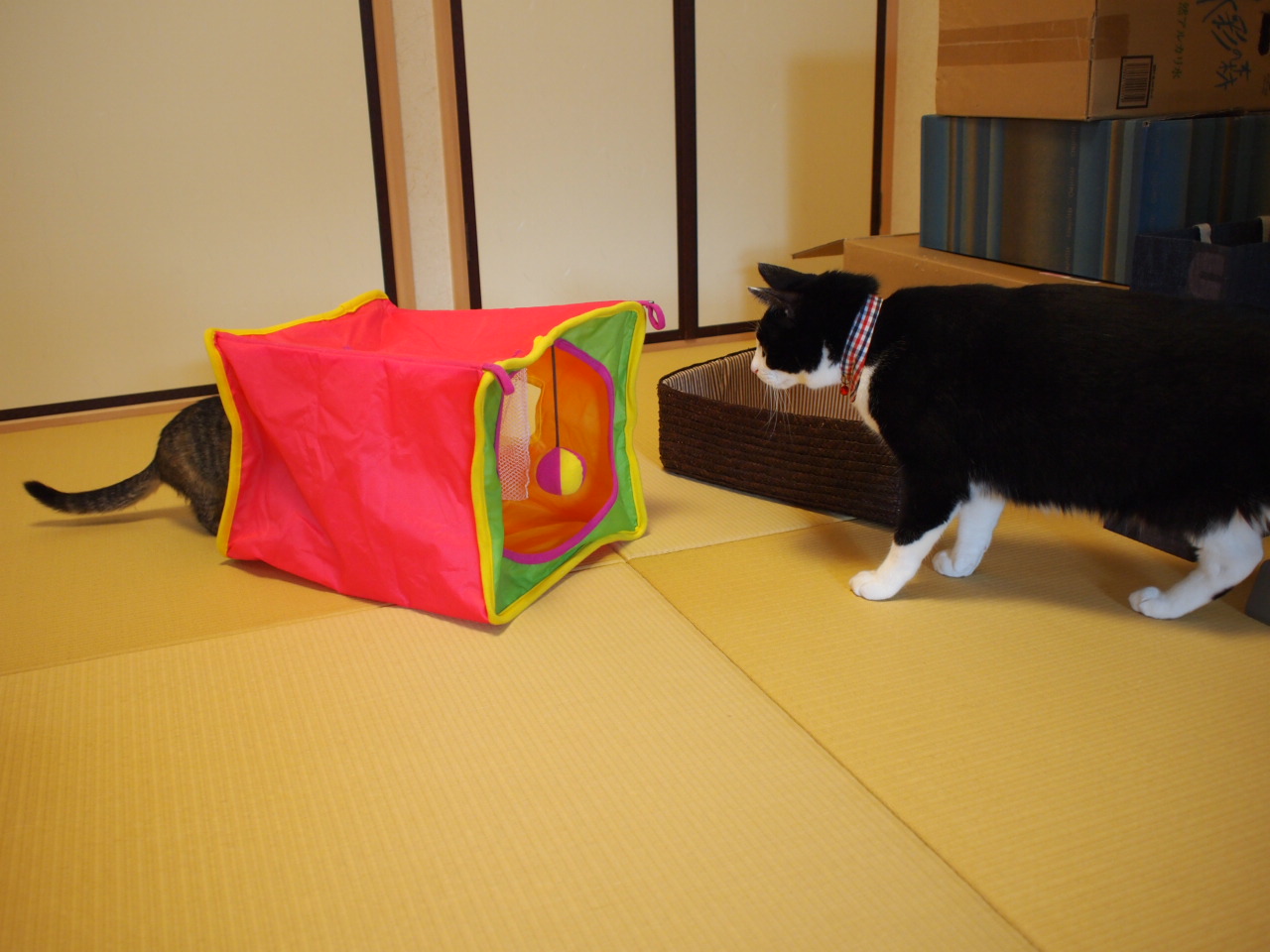 PB068400.JPG