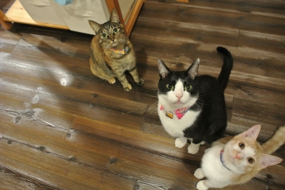 DSC_0879.JPG