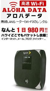 アロハデータ