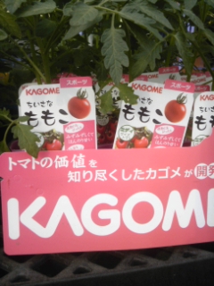 140428_065552.jpg