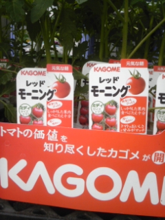 140428_065545.jpg