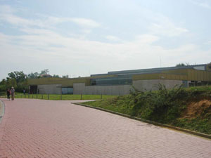 MUSEO DE ALTAMIRA