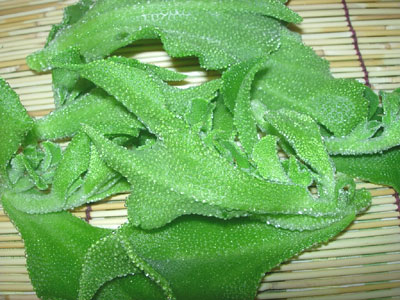 BARAFU(バラフ)