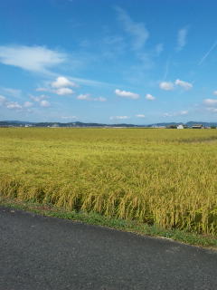 090910_102304.jpg