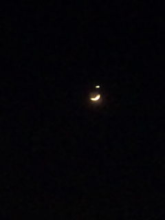 100516_200510.jpg