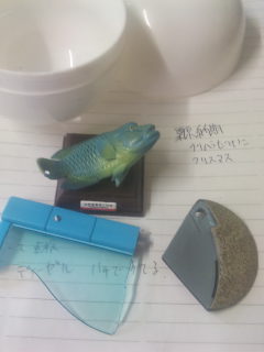 100525_111942.jpg