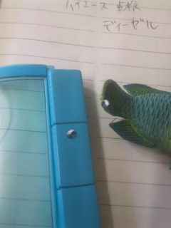 100525_112106.jpg