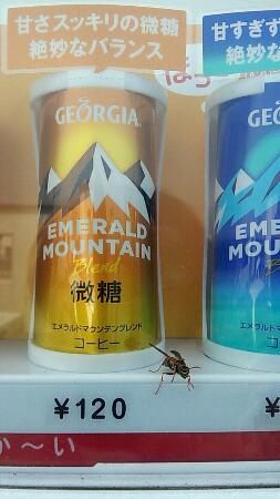 2012_04_24_09_16_18.jpg