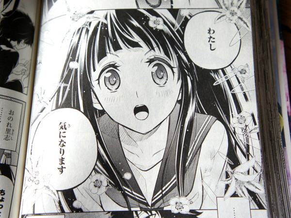 20120425141927fc9.jpg
