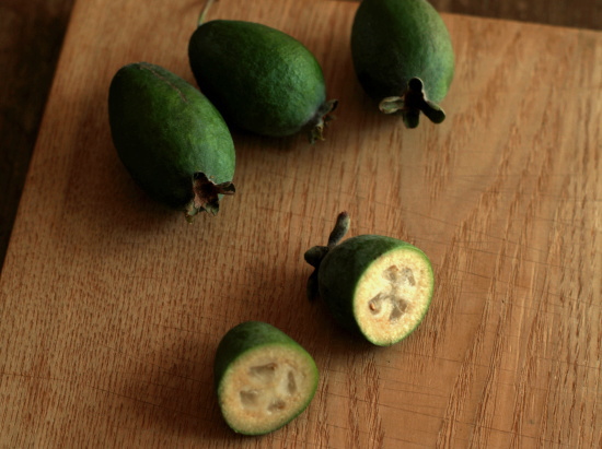 Feijoa01