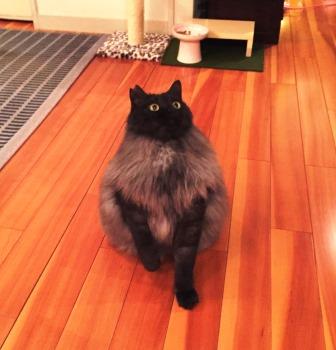 20150306 f2.jpg