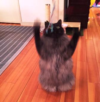 20150306 f3.jpg