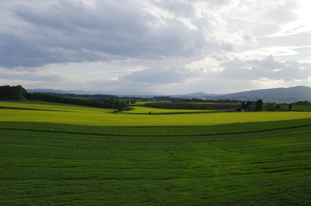 _IMG4487.JPG
