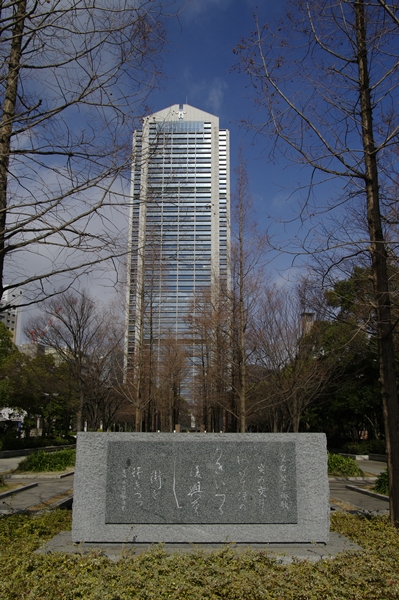 _IMG6896.JPG