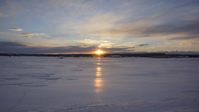 _DSC3503.JPG