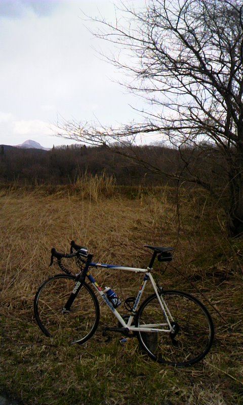 140406_1314~01.jpg
