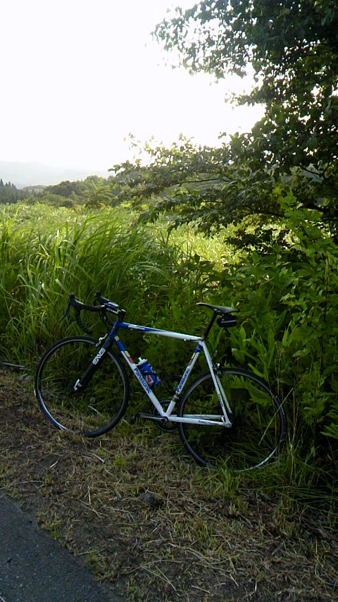 140728_0626~01.jpg