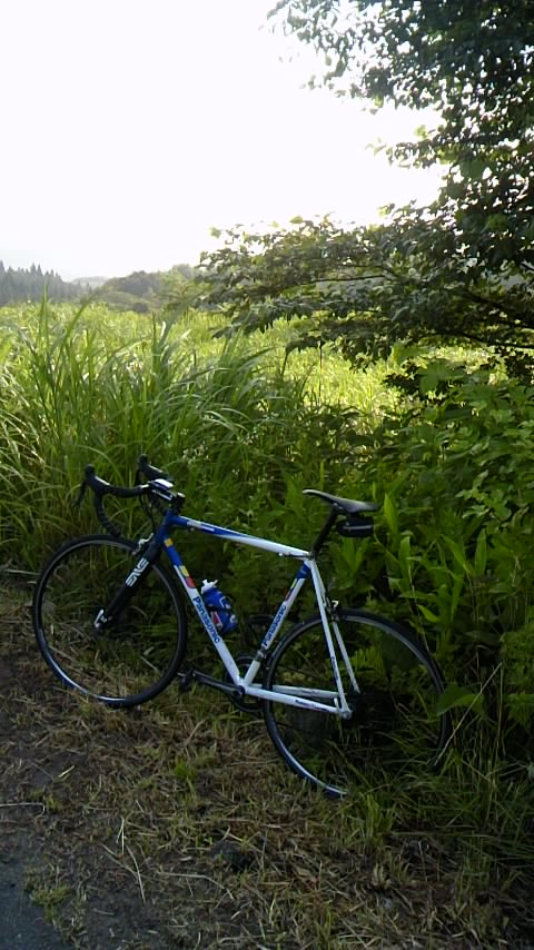 140729_0636~01.jpg