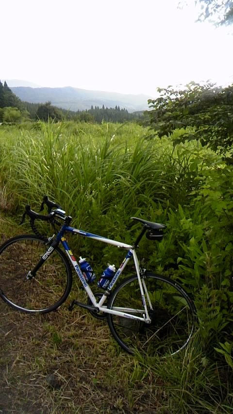 140801_0629~01.jpg