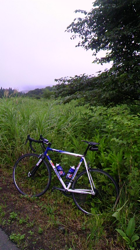 140808_0630~01.jpg