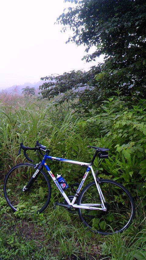 140819_0609~01.jpg