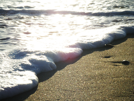 olas