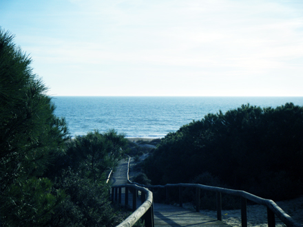punta ociano