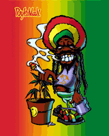 レゲエ画像 レゲエアーティスト レゲエ Reggae に関する情報はレゲエ道場