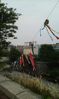 20080501175742.jpg