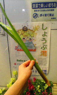 20080505230444.jpg