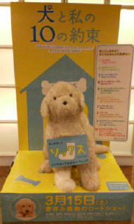 20080508173803.jpg