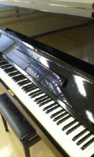 20080612184314.jpg