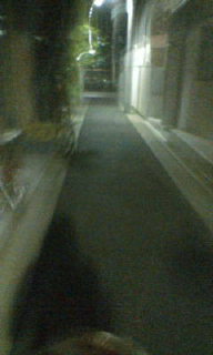 20080720221335.jpg