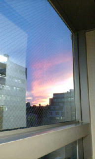 20080807185039.jpg