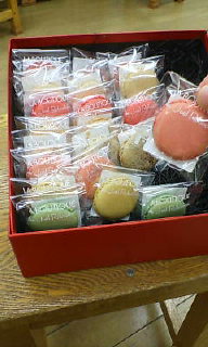 20080809154047.jpg