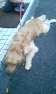 20080813182232.jpg