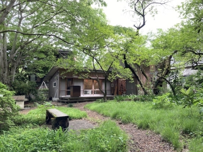 竹林 blog
