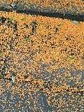 20051020_48839.jpg