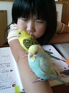 080627_1650~03.jpg