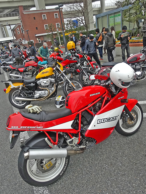 DSC02816.jpg