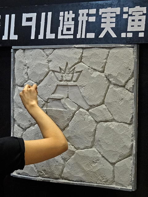DSC06308.jpg