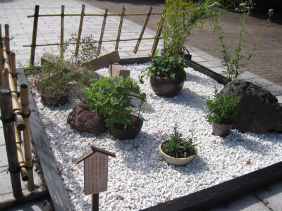 須磨離宮公園1