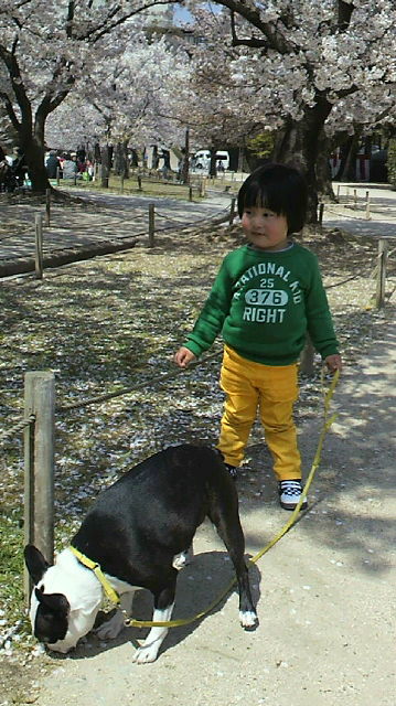 P1000326.jpg