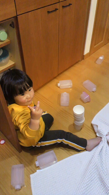 P1000331.jpg