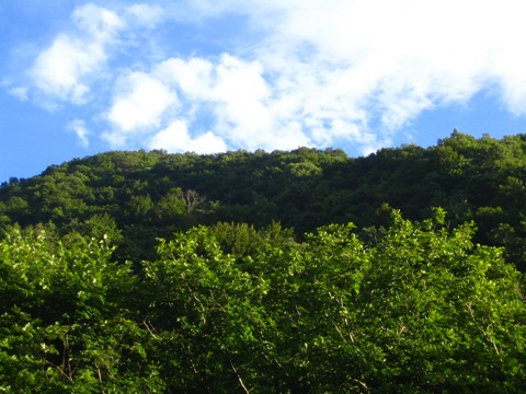山田温泉の空