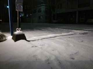 高田の雪模様